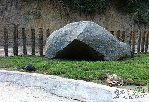 建造龜樂園-室外篇..............................................jpg