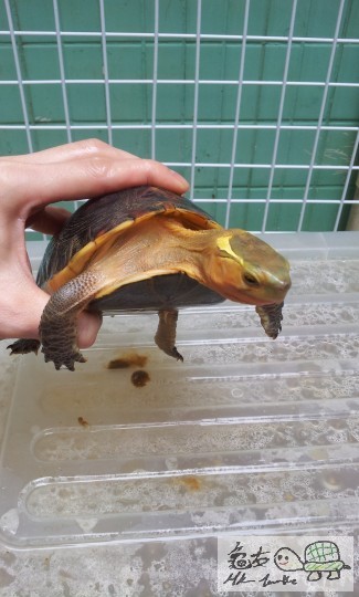 gggggggggggggggggg 1054.jpg