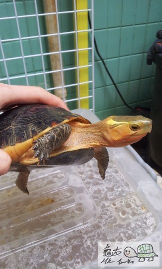 gggggggggggggggggg 1056.jpg