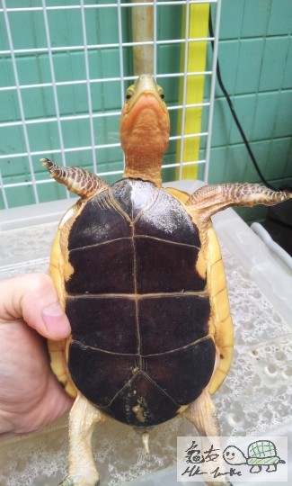 gggggggggggggggggg 1057.jpg