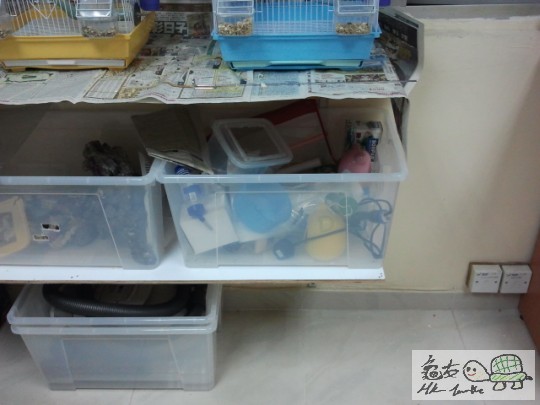 2013-04-17 18.49.46.jpg