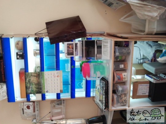 2013-03-23 11.25.11.jpg