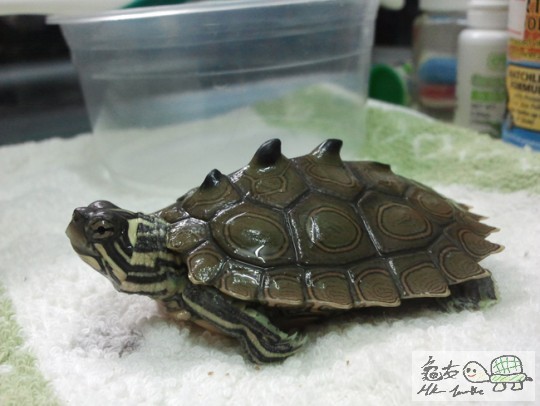 2013-04-20 22.35.13.jpg