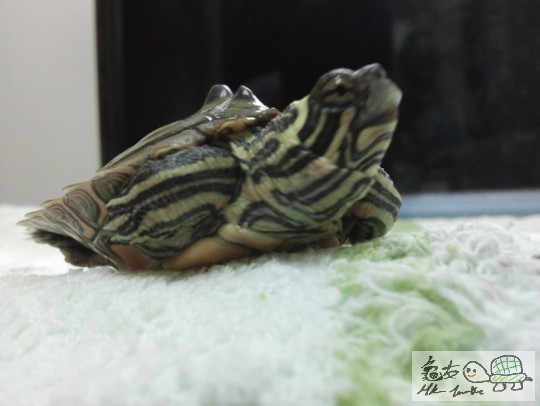 2013-04-20 22.40.26.jpg