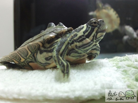 2013-04-20 22.41.03.jpg