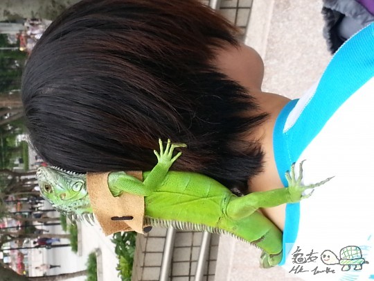 20130505_155052.jpg