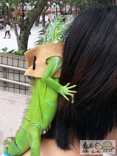 20130505_155046.jpg