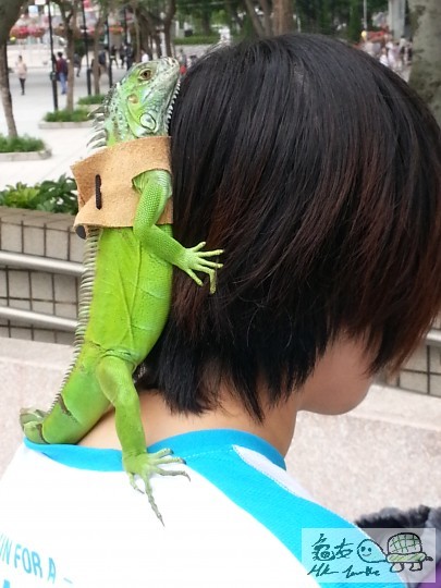 20130505_155052.jpg