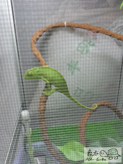 2013-05-12 10.01.10.png