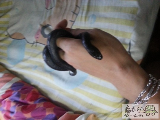 20130516_174116.jpg