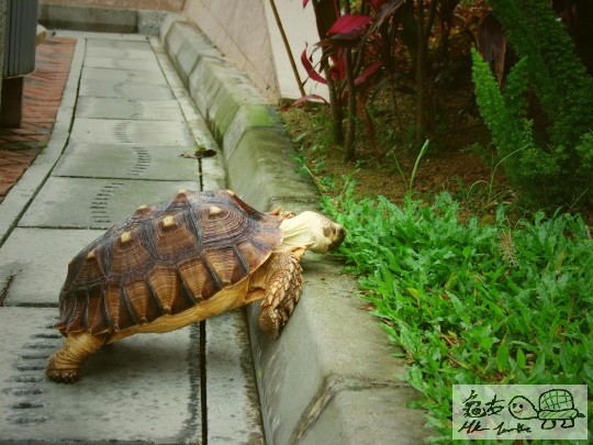 DSCF8475.JPG