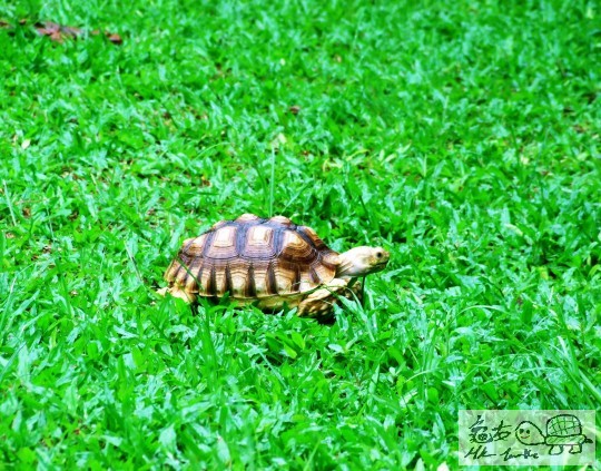 DSCF8486.JPG