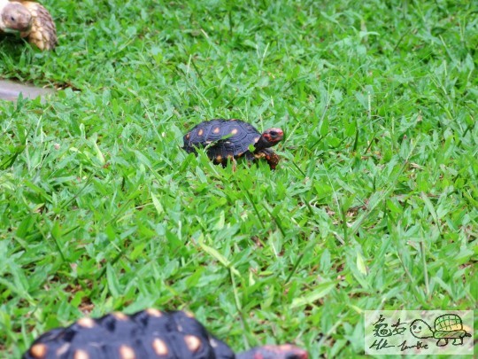 DSCF8501.JPG