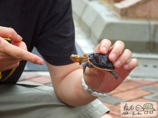 DSCF8519.JPG