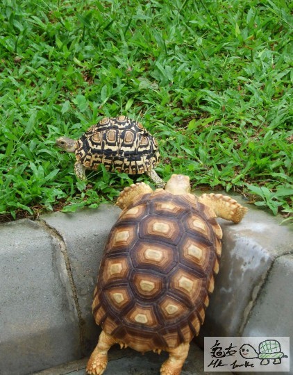 DSCF8531.JPG