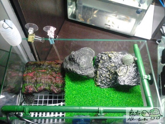 正俯視.jpg