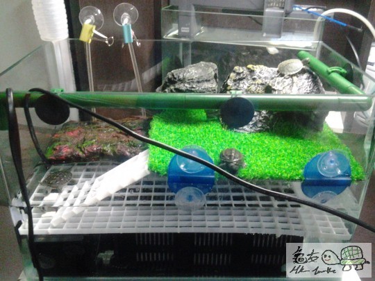 正面.jpg