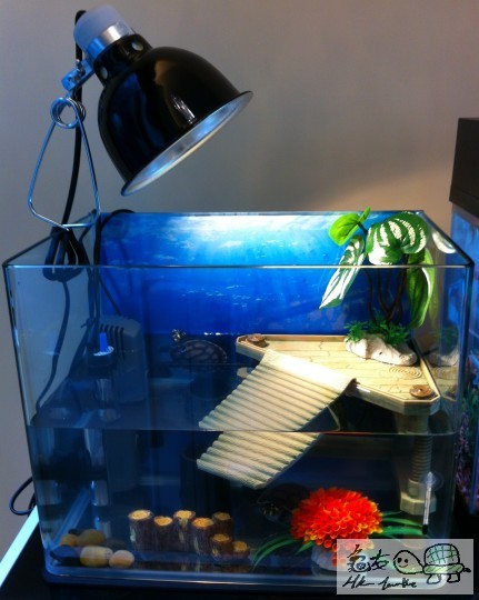 之前的SETTING , 有路反而唔識上