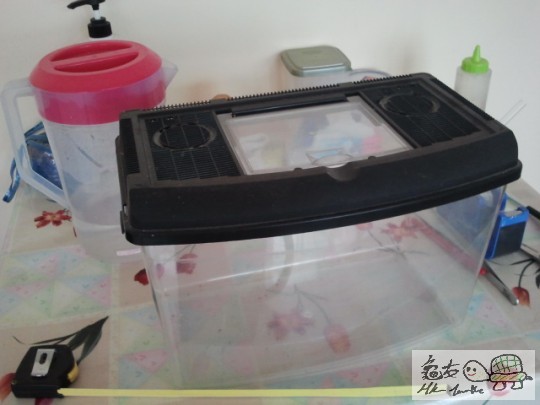 2013-05-23 08.05.31.jpg