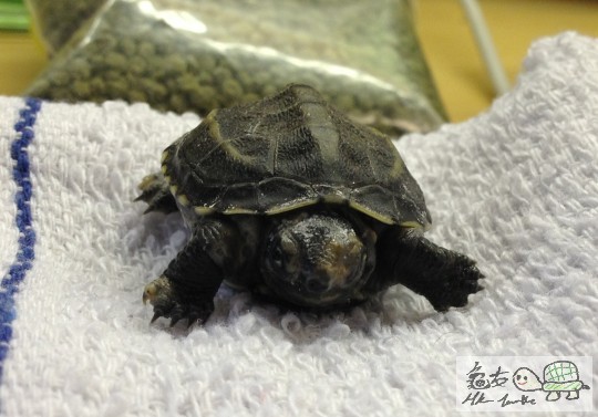 Photo 8-5-13 2 54 33 PM.jpg