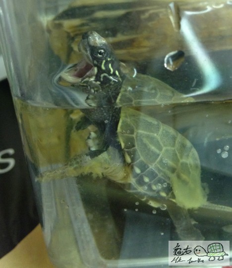 Photo 23-5-13 8 28 52 PM.jpg