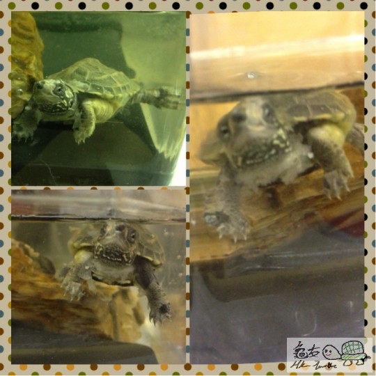 Photo 19-5-13 1 01 55 AM.jpg