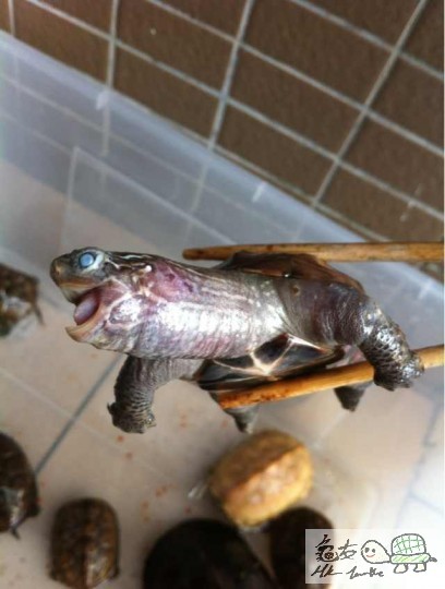 2013-05-28 11.37.49.jpg