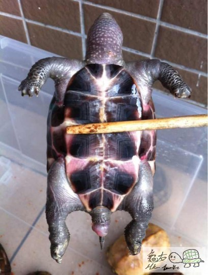 2013-05-28 11.37.56.jpg