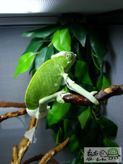 2013-05-17 13.53.46.png