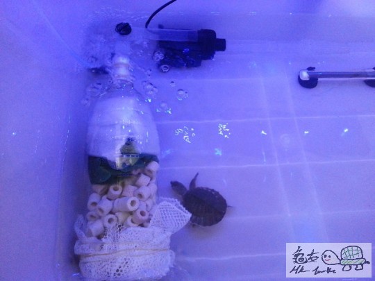 20130601_160204.jpg