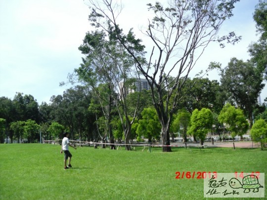 CIMG4830-1.jpg