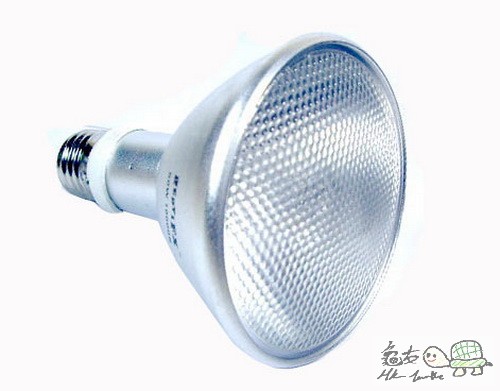 複製 -複製 -照片 12147766.jpg