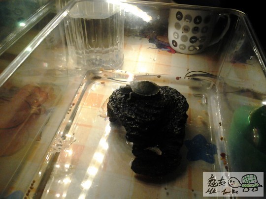 20130531_224403.jpg