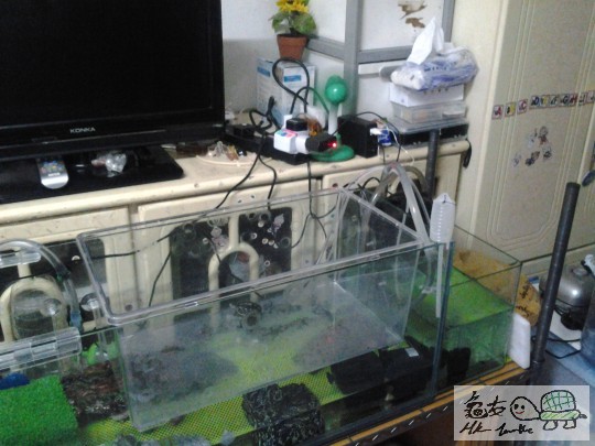 20130601_103253.jpg
