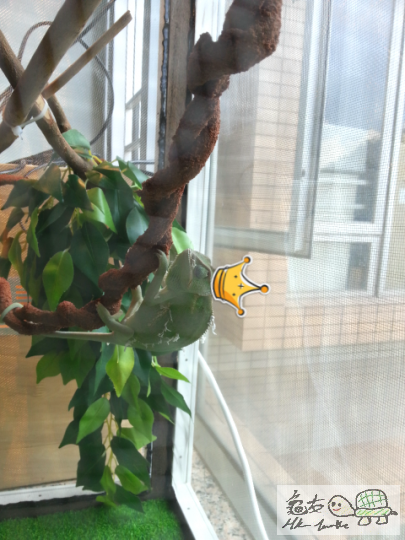 2013-06-05 20.40.40.png