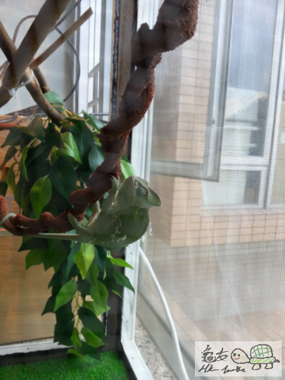 2013-06-05 20.41.13.png