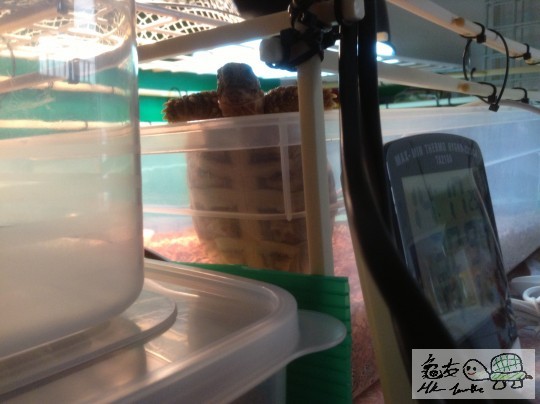 2013-05-24 14.07.45 拷貝.jpg