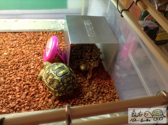 2013-06-05 12.00.18 拷貝.jpg