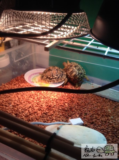 2013-06-05 17.05.57 拷貝.jpg