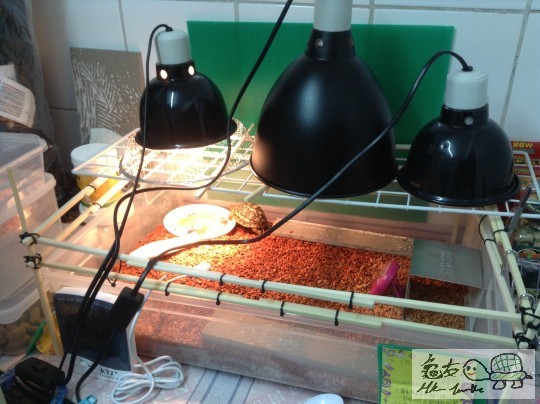 2013-06-06 21.06.11 拷貝.jpg