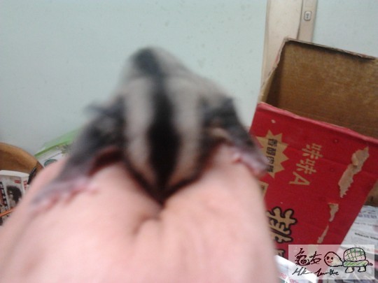 2013-06-06 00.32.13.jpg