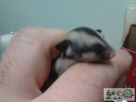 2013-06-06 00.32.36.jpg