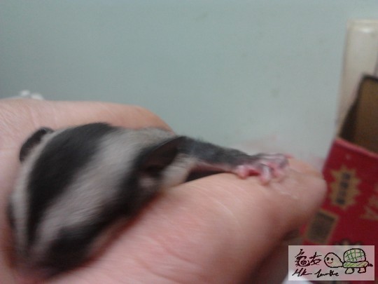 2013-06-06 00.32.41.jpg