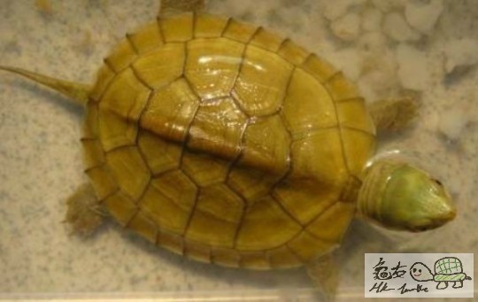 未命名5.jpg