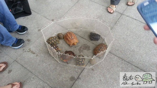 973664_166830070159685_1735746831_n (1).jpg