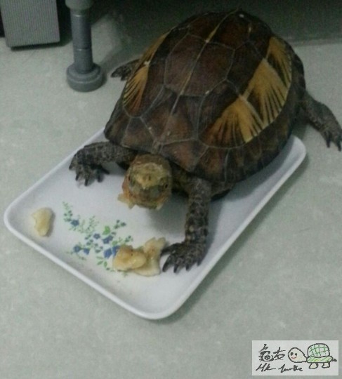 altAm7Hh9GQ-S93E9s9LYgGNsghT0MP2ndQ8JbZL2V2-pb9 (2).jpg