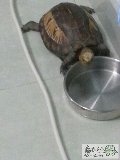 altAuCzqAP-qgGDQSd2YzWCp9SM-PHEJWPcMVlUTjoLVsYm (2).jpg