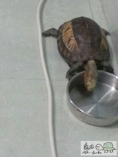 altArpNCQWWktc9_Cr5Kq8mMKWCz5uAGbcZm9eZeKPzo9NK (2).jpg