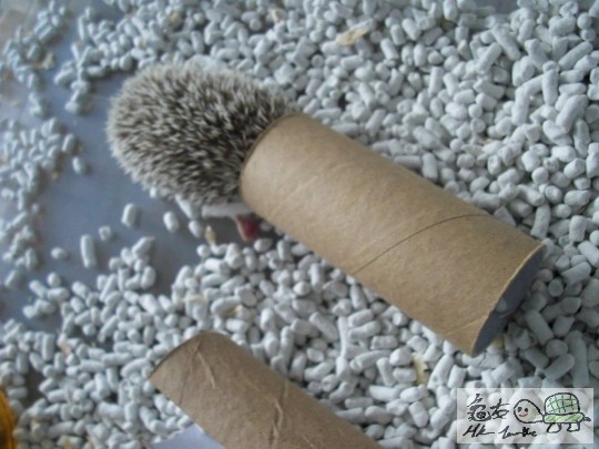 臭臭特寫 (1).jpg