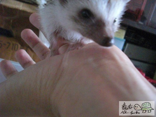 臭臭特寫 (2).jpg